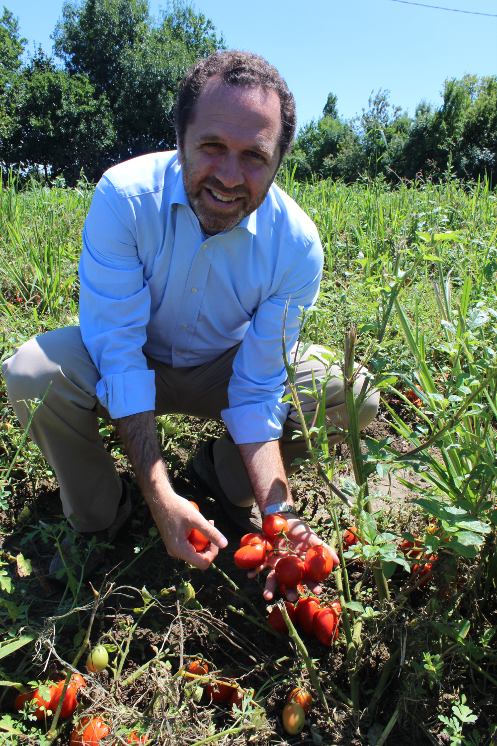 let-assortiment-banners