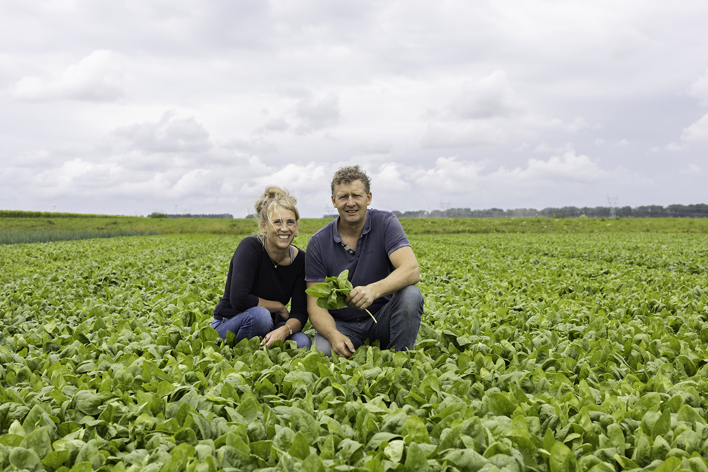 let-assortiment-banners