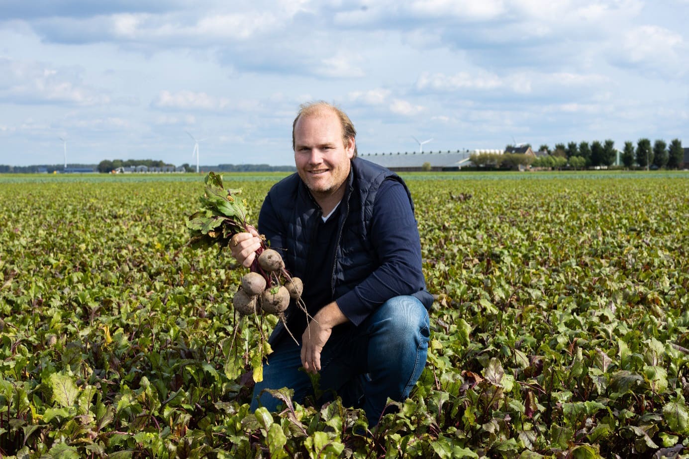 let-assortiment-banners