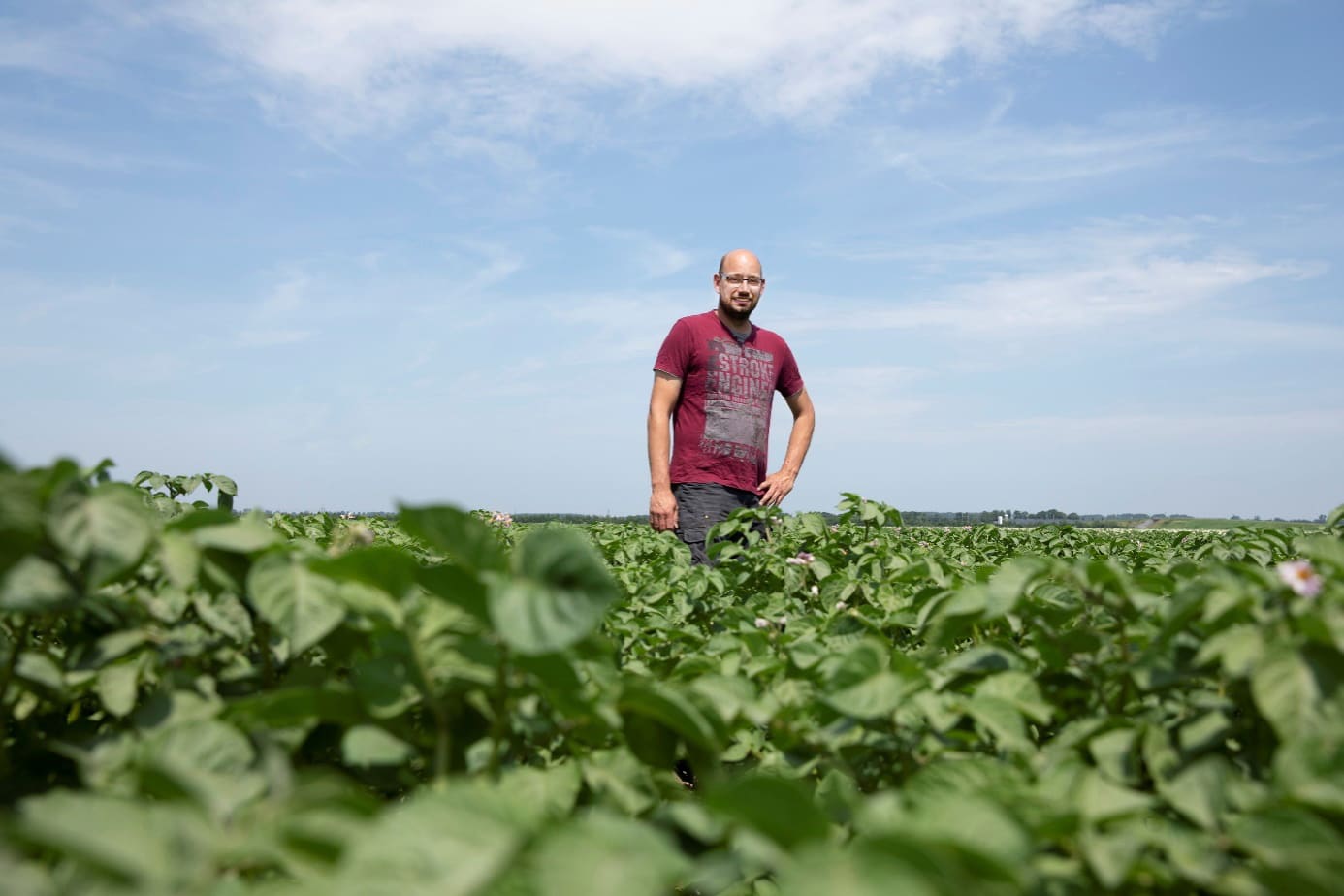 let-assortiment-banners