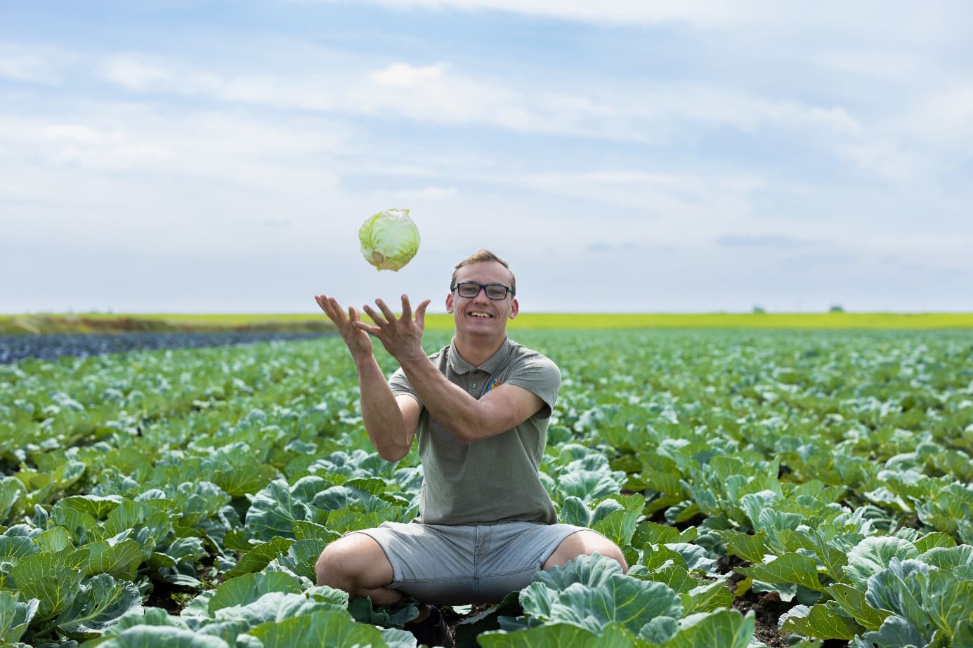 let-assortiment-banners